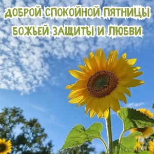 Картинка доброе утро пятницы 13